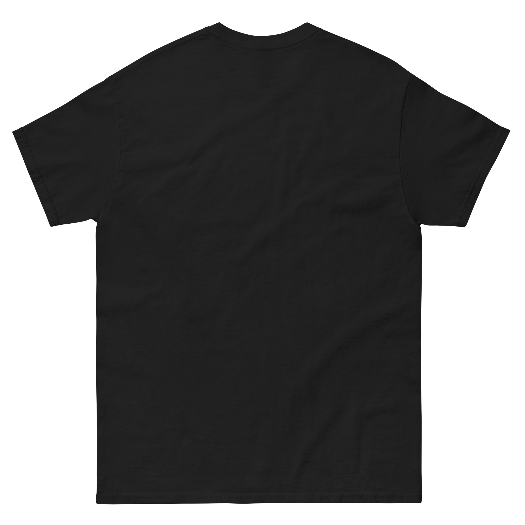 mens-classic-tee-black-back-6630b11871e5b.jpg