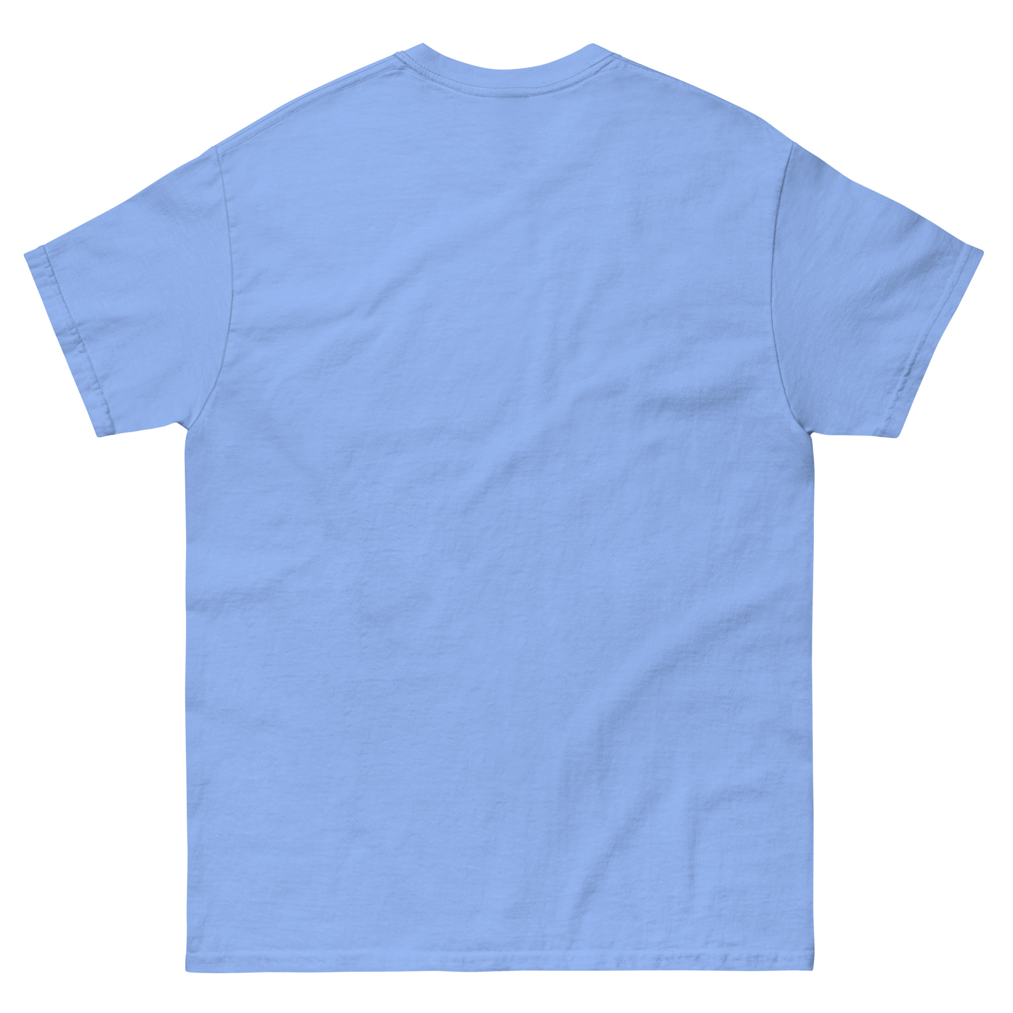 mens-classic-tee-carolina-blue-back-6630b11872fda.jpg