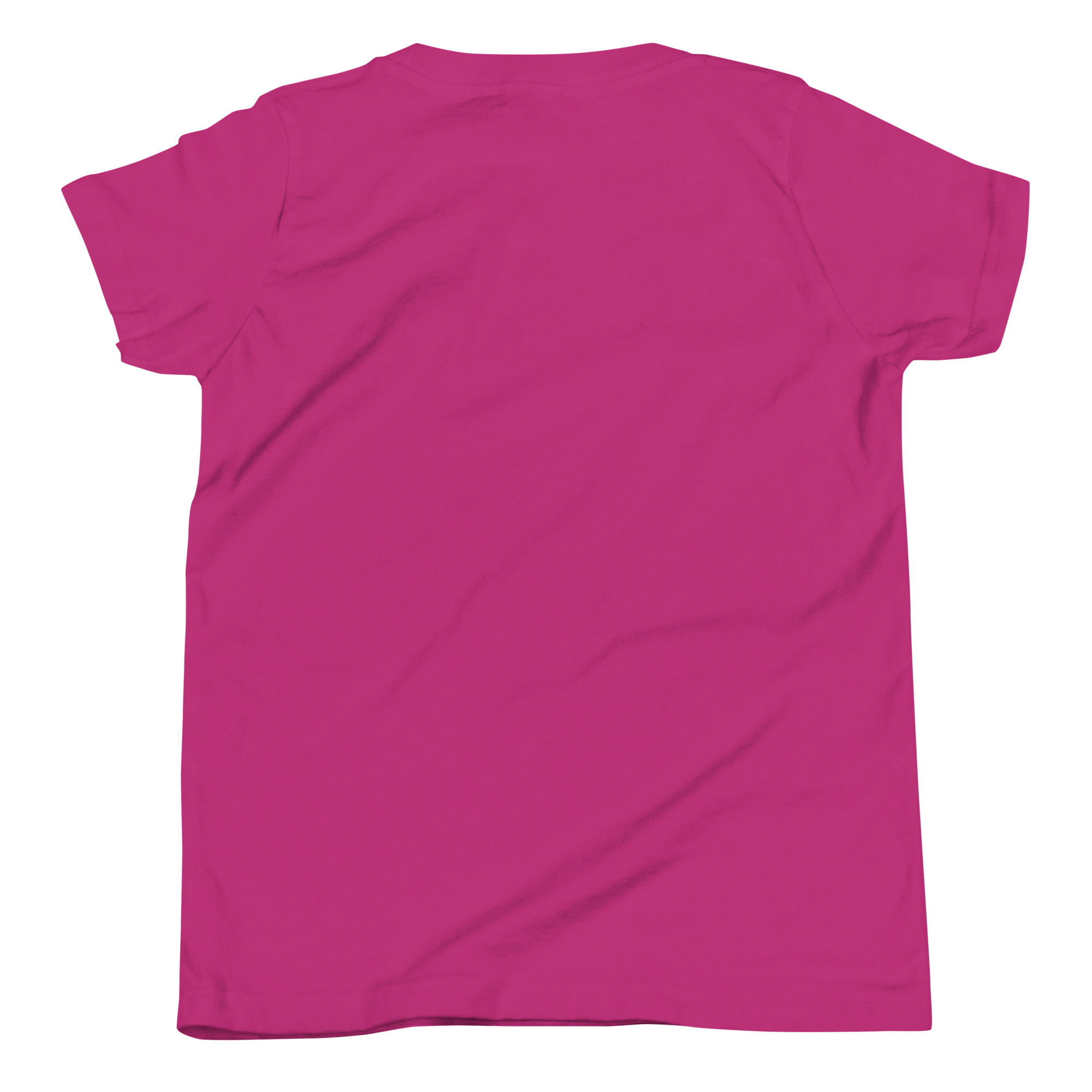 youth-staple-tee-berry-back-6669499585cea.jpg