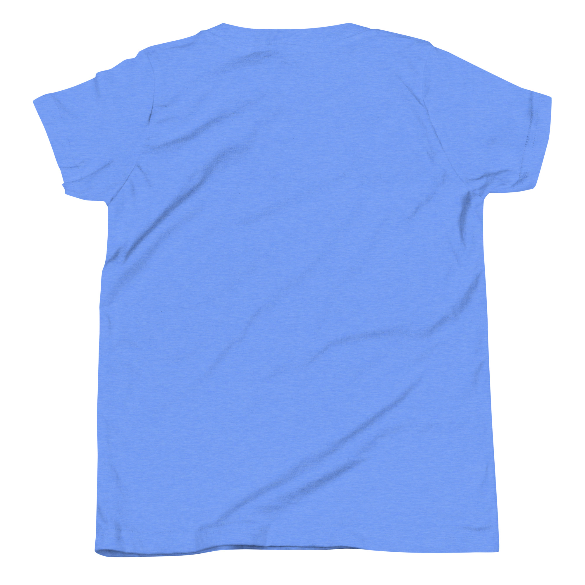 youth-staple-tee-heather-columbia-blue-back-66694995880c0.jpg