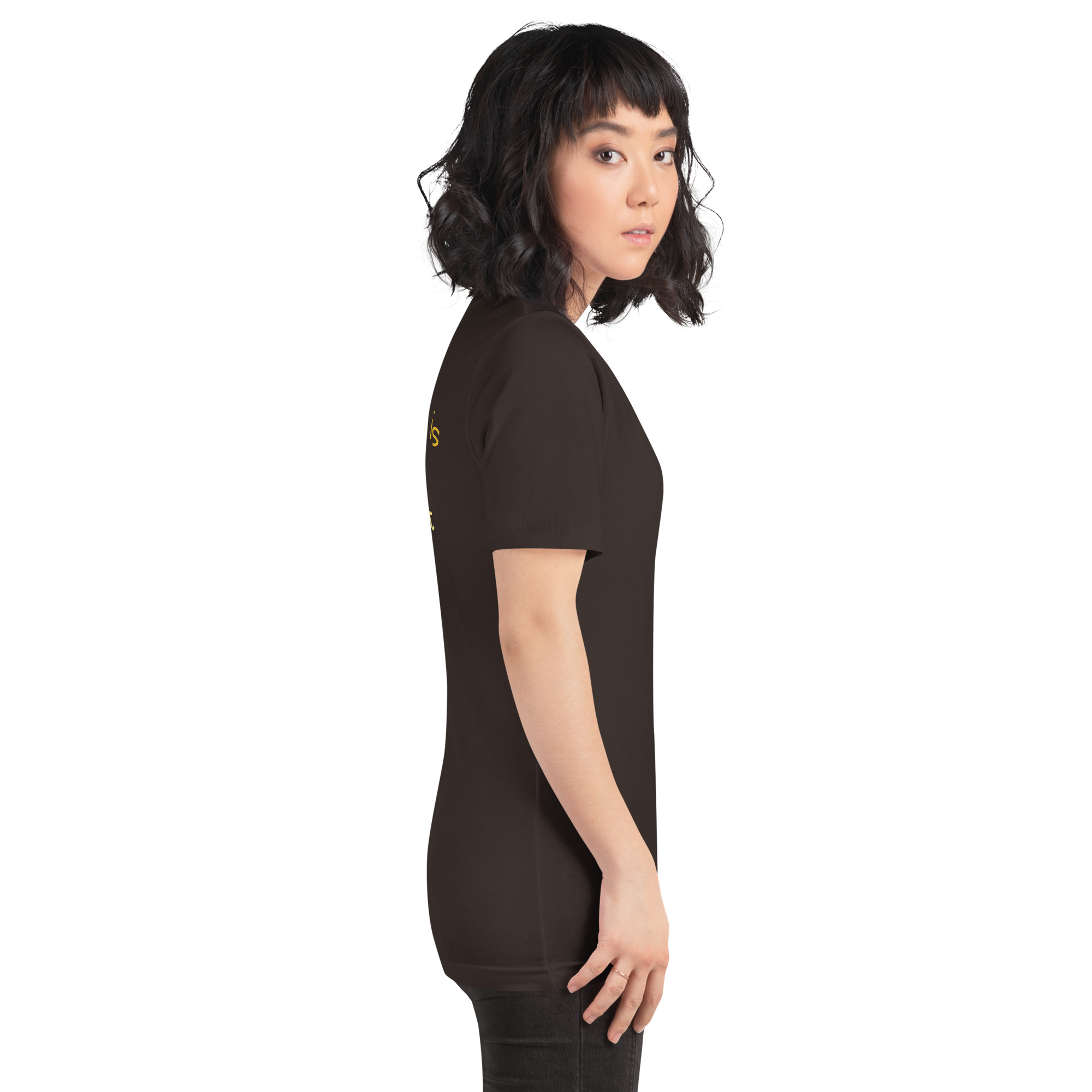 unisex-staple-t-shirt-brown-right-67a8d881b7f66.jpg